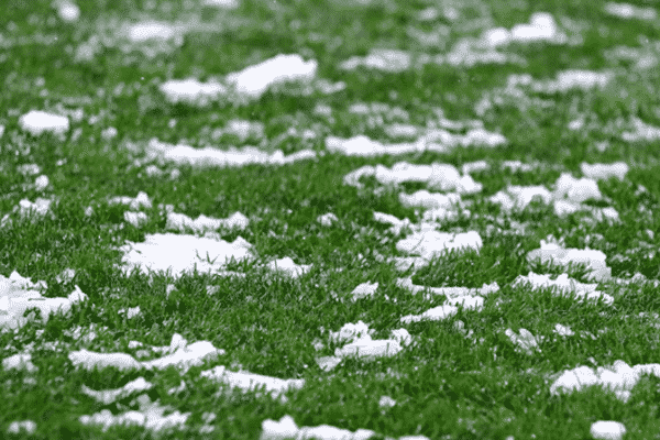 kunstgras winter
