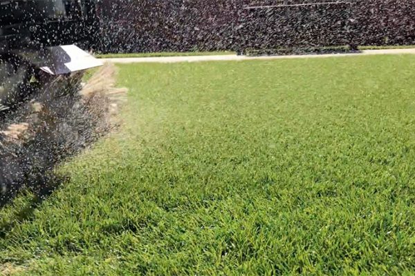 Borstelen kunstgras