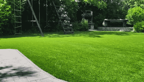 Onderhoudsvriendelijke tuin
